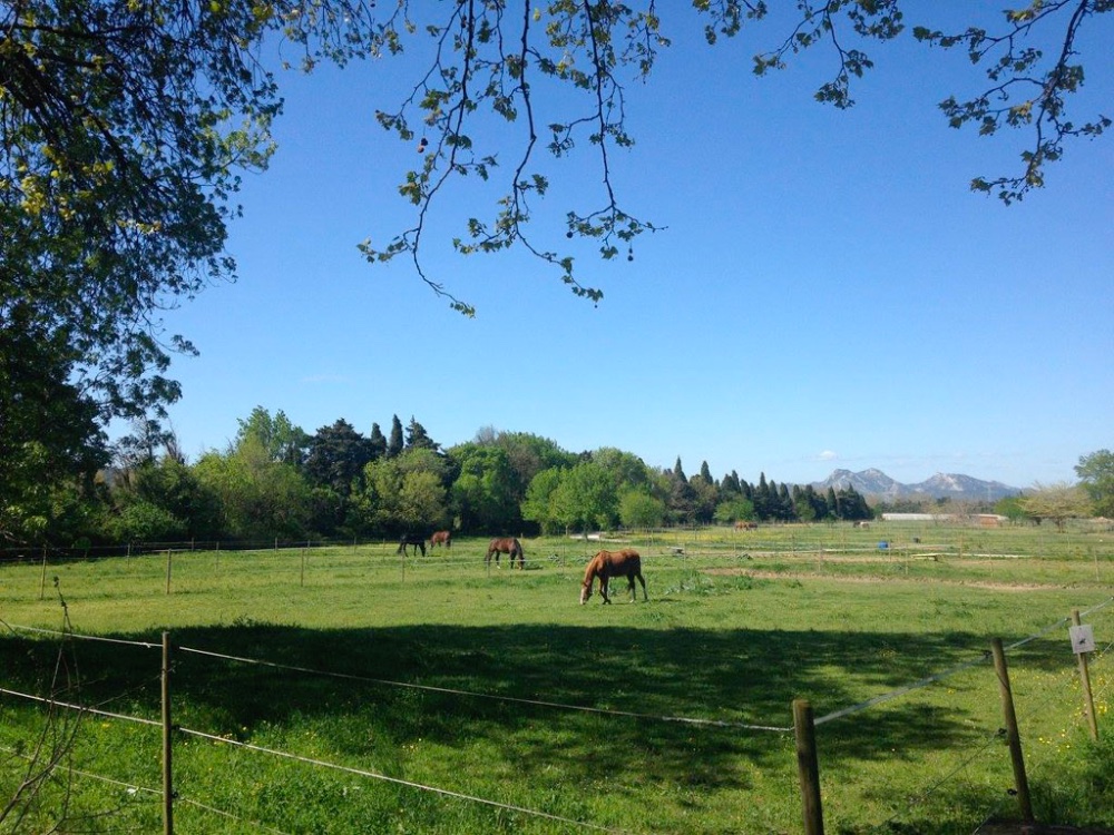 Aire camping-car  Lamanon (13113) - Photo 5